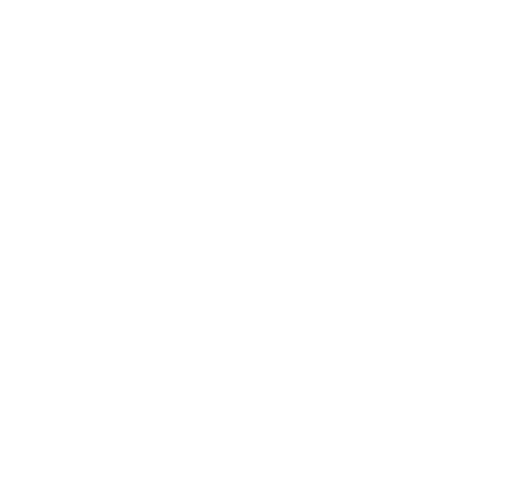 Logo partner
